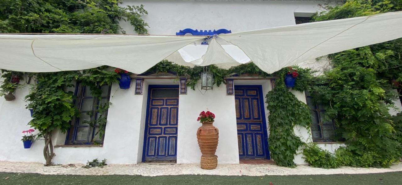 Rural Cinco Ranas Hotel 3*
